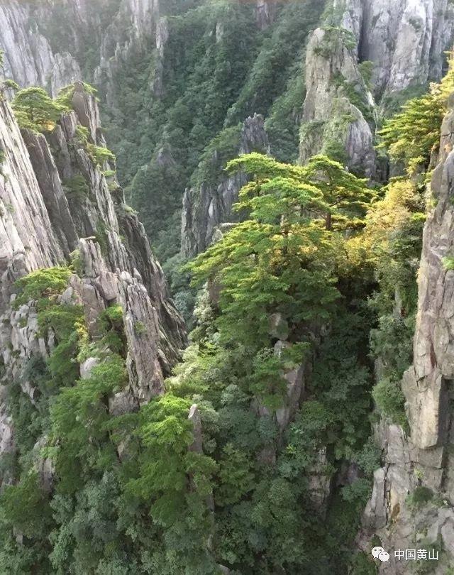 沙滩游玩的女孩们