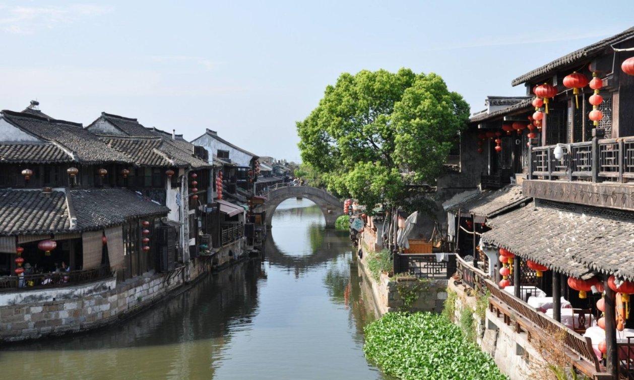 动物帮帮忙保卫家园