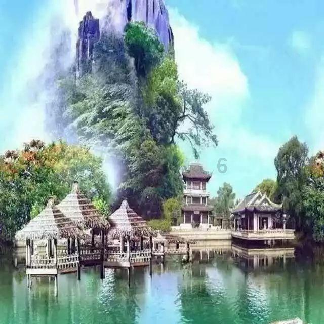 救援受困的火鸡